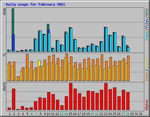 Daily usage for February 2021