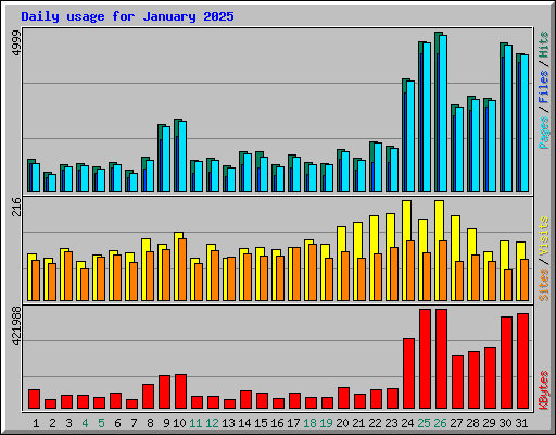Daily usage for January 2025