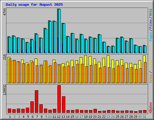Daily usage for August 2025