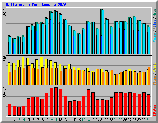Daily usage for January 2026
