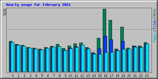 Hourly usage for February 2021