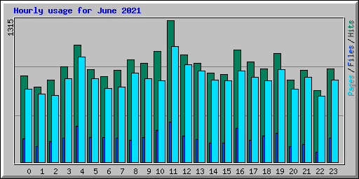 Hourly usage for June 2021