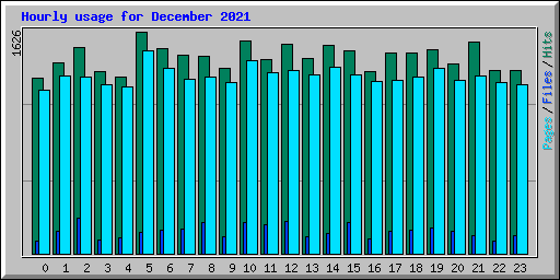 Hourly usage for December 2021