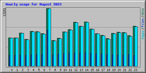 Hourly usage for August 2023