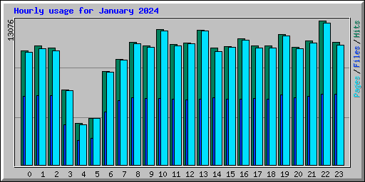 Hourly usage for January 2024