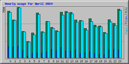 Hourly usage for April 2024