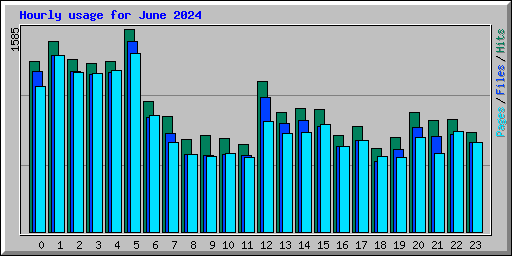 Hourly usage for June 2024