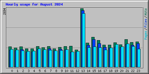 Hourly usage for August 2024