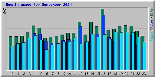 Hourly usage for September 2024