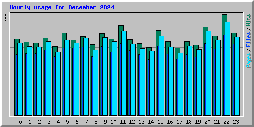 Hourly usage for December 2024