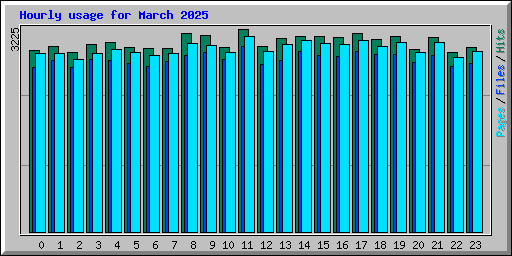 Hourly usage for March 2025