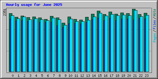 Hourly usage for June 2025