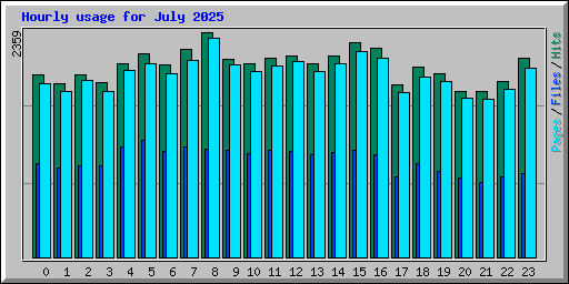 Hourly usage for July 2025