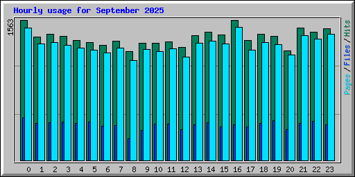 Hourly usage for September 2025