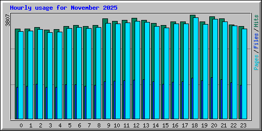 Hourly usage for November 2025