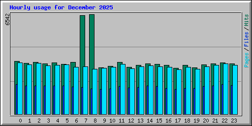 Hourly usage for December 2025
