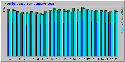 Hourly usage for January 2026