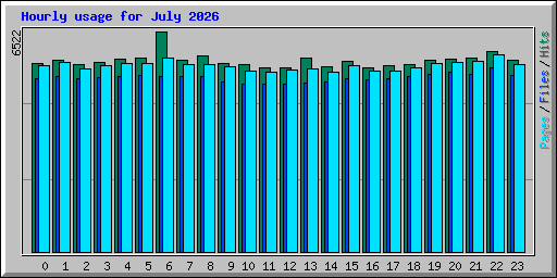 Hourly usage for July 2026